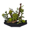 Vickerman FE192308 8" Artificial Green Mixed Succulent, Ceramic Pot