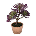 Vickerman FE192412 12" Artificial Purple & Green Succulent, Paper Pot