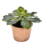 Vickerman FE192510 9" Artificial Succulent, Paper Pot
