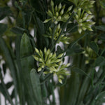 Vickerman FF180601 11