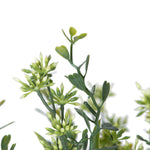 Vickerman FF180601 11