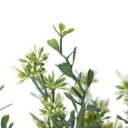 Vickerman FF180601 11