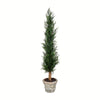 Vickerman FG190148 48" Artificial Potted Cedar Tree in Paper Pot