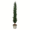 Vickerman FG190160 60" Artificial Potted Cedar Tree in Paper Pot