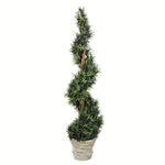Vickerman FG190254 54" Artificial Potted Green Rosemary Spiral Tree in Paper Pot