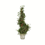 Vickerman FG190330 30" Artificial Potted Green Angel Vine Spiral Tree in Paper Pot