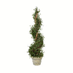 Vickerman FG190342 42" Artificial Potted Green Angel Vine Spiral Tree in Paper Pot