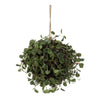 Vickerman FG190506 6" Artificial Green Angel Vine Kissing Ball