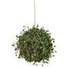 Vickerman FG190510 10" Artificial Green Angel Vine kissing ball