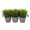 Vickerman FG190906 6.5" Artificial Potted Grass