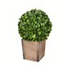 Vickerman FG191316 16" Artificial Potted Boxwood Ball in Wooden Pot