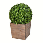 Vickerman FG191321 21" Artificial Potted Boxwood Ball in Wooden Pot