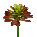 Vickerman FH180301 10" Artificial Red & Green Succulent Stem, Pack of 2