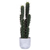 Vickerman FH181101 27.5" Artificial Green Cactus Plant