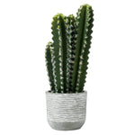 Vickerman FH181201 17" Artificial Green Cactus Plant
