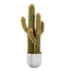 Vickerman FH181601 36" Artificial Green & Yellow Cactus Plant