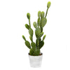 Vickerman FH181701 29" Artificial Green Cactus Plant