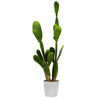 Vickerman FH181901 29" Artificial Green Cactus Plant