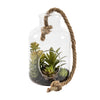 Vickerman FH182601 9" Artificial Green Assorted Succulents in Glass Jar