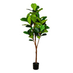 Vickerman FH190160 6' Artificial Green Fiddle Tree in Black Planters Pot