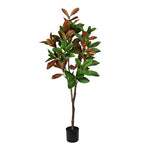 Vickerman FH190250 5' Artificial Green Magnolia Tree in Black Planters Pot