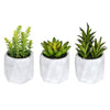 Vickerman FH191506 6" Artificial Potted Succulent Arrangements, Set of 3