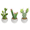 Vickerman FH191610 10" Artificial Green Cactus Arrangements, Set of 3