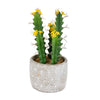 Vickerman FH191712 12" Artificial Green Cactus in Cement Pot