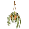 Vickerman FH192001 22" Artificial Staghorn Fern Hanging in Ceramic Pot