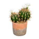 Vickerman FH192109 9" Artificial Green Cactus in Clay Pot