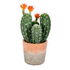 Vickerman FH192214 14" Artificial Green Cactus in Clay Pot
