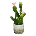 Vickerman FH192401 11" Green Potted Cactus