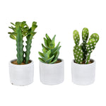Vickerman FH192701 7" Artificial Potted Cactus Assorted Plants, Set of 3