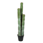 Vickerman FH193254 54" Artificial Cactus Plant in a Plastic Pot