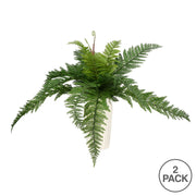 Vickerman FI180601 16