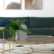 Vickerman FI180601 16