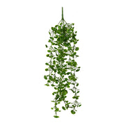 Vickerman FI180901 34
