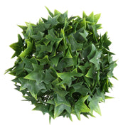 Vickerman FI181301 5