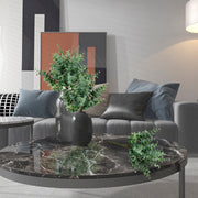 Vickerman FJ180701 13