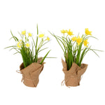 Vickerman FJ181201 10`` Artificial Yellow Daffodil in Burlap Pot