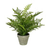 Vickerman FJ190419 19" Artificial Green Potted Fern