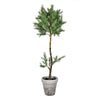 Vickerman FJ190644 44" Artificial Potted Green Plant