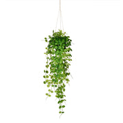 Vickerman FJ190929 29