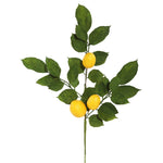 Vickerman FK170701-4 20" Artificial Green & Yellow Salal Leaf Lemon Sprays, 4 per Bag