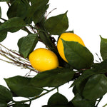 Vickerman FK170702 24