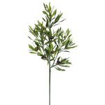 Vickerman FK170802-3 26" Artificial Green Olive Leaf Spray, Pack of 3