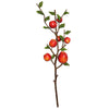 Vickerman FK171602 25" Artificial Green & Red Country Apples Spray