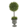 Vickerman FK172502 21" Artificial Green Oregon Juniper Topiary