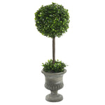 Vickerman FK172602 21" Artificial Green Boxwood Topiary