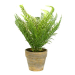 Vickerman FK181101 19" Artificial Green Lace Fern Bush In Container